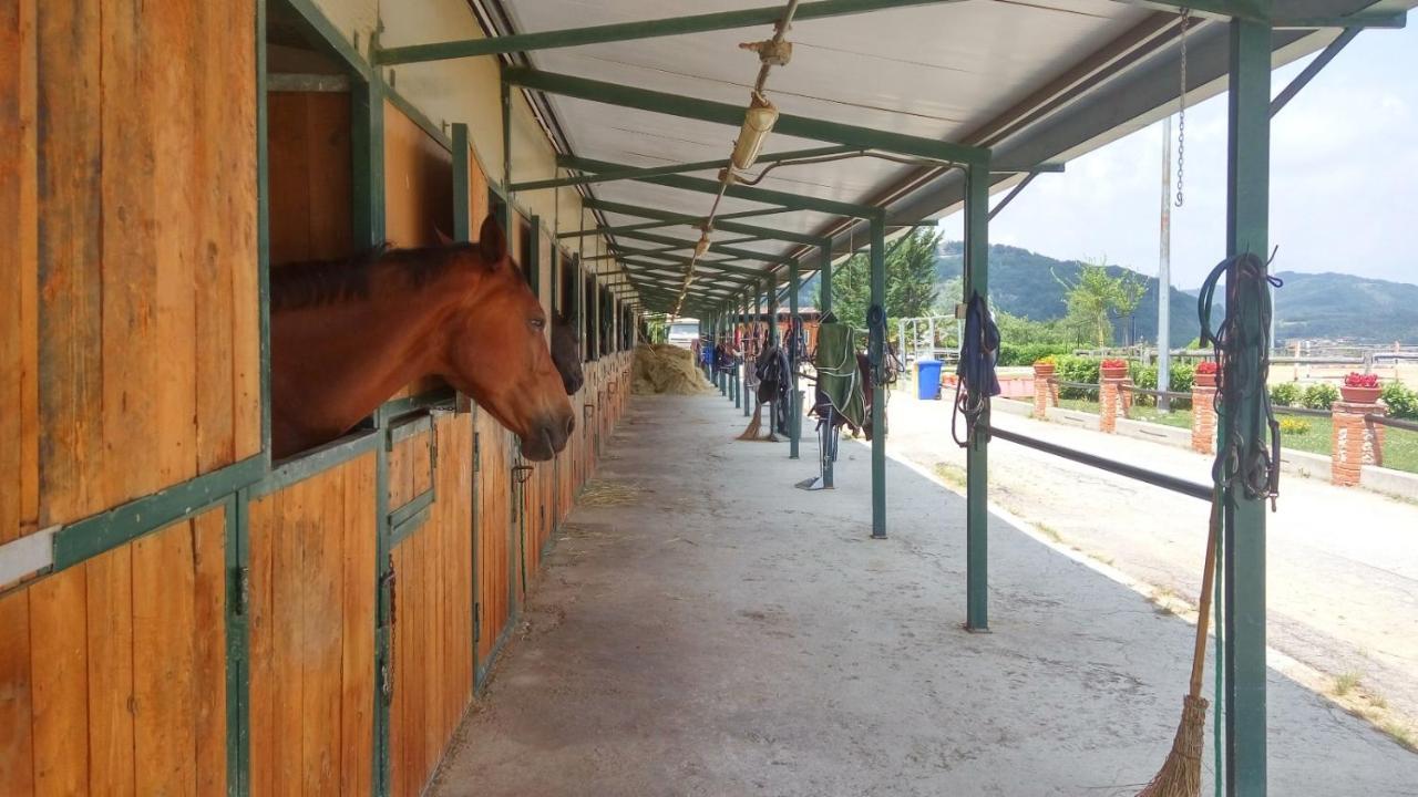 Relais Black Horse Millesimo Luaran gambar