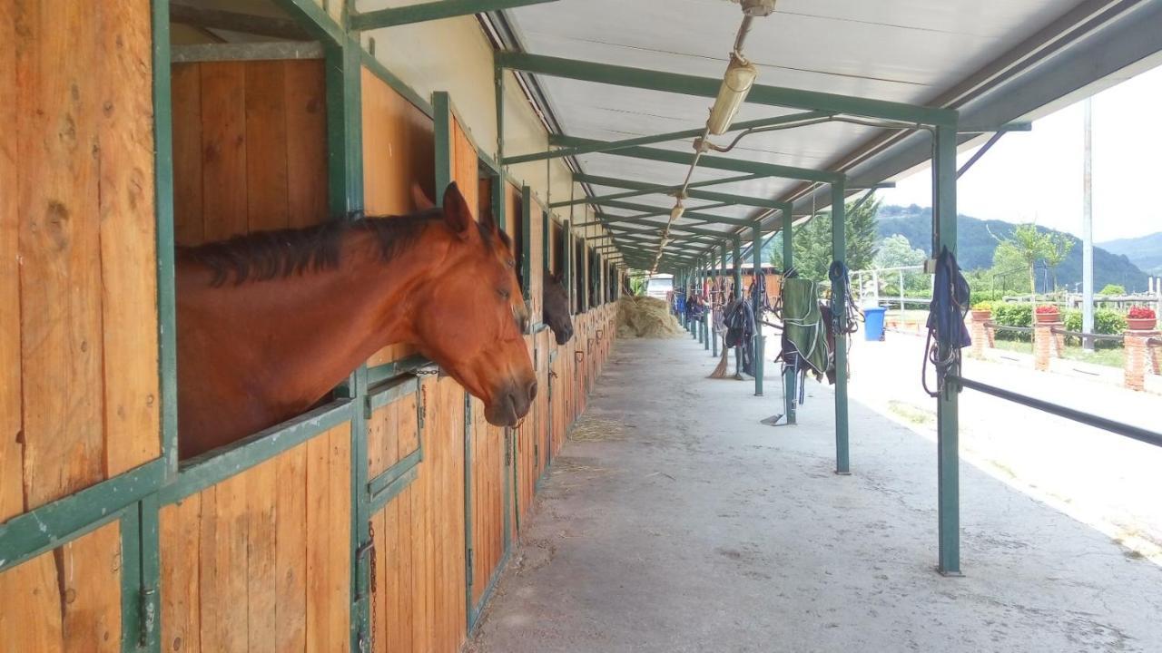 Relais Black Horse Millesimo Luaran gambar